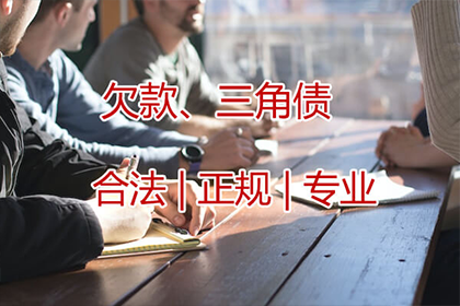 起诉欠款人能否有效追偿？